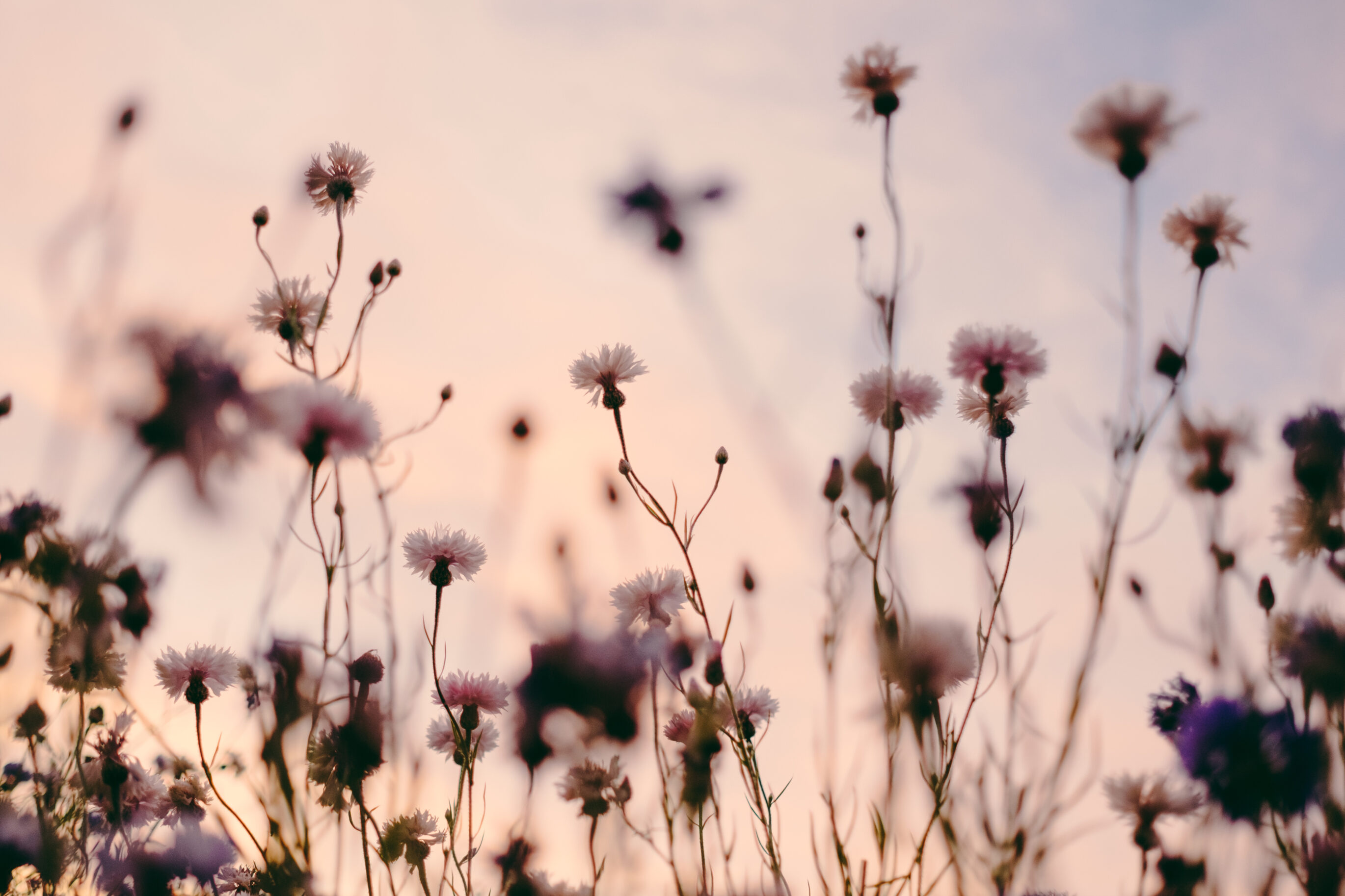Geburtstrauma bei Mutter – Psychologische Beratung in und um Karlsruhe durch MamaBeratung Silke Rechlin