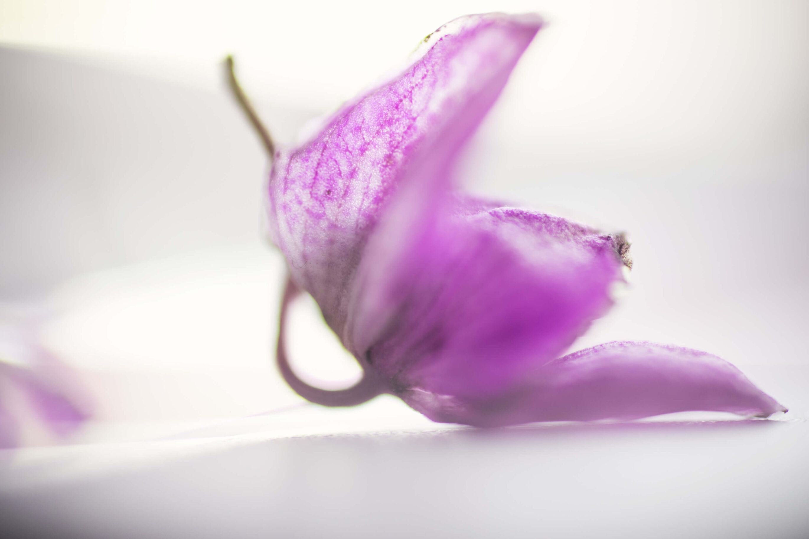 Hilfe bei Wochenbettdepression in und um Karlsruhe durch psychologische Beratung Mamaberatung Silke Rechlin