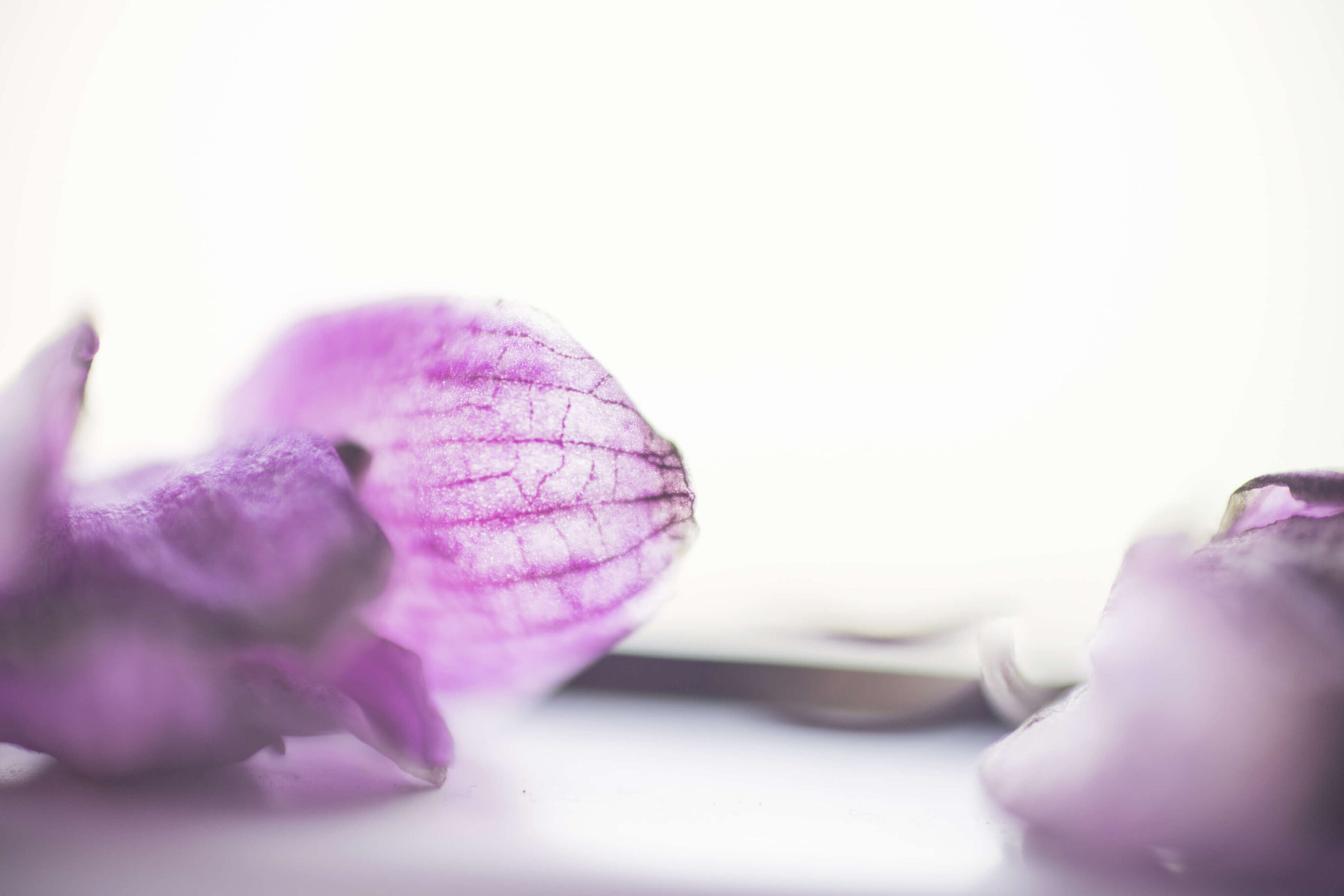 Hilfe bei Wochenbettdepression in und um Karlsruhe durch psychologische Beratung Mamaberatung Silke Rechlin