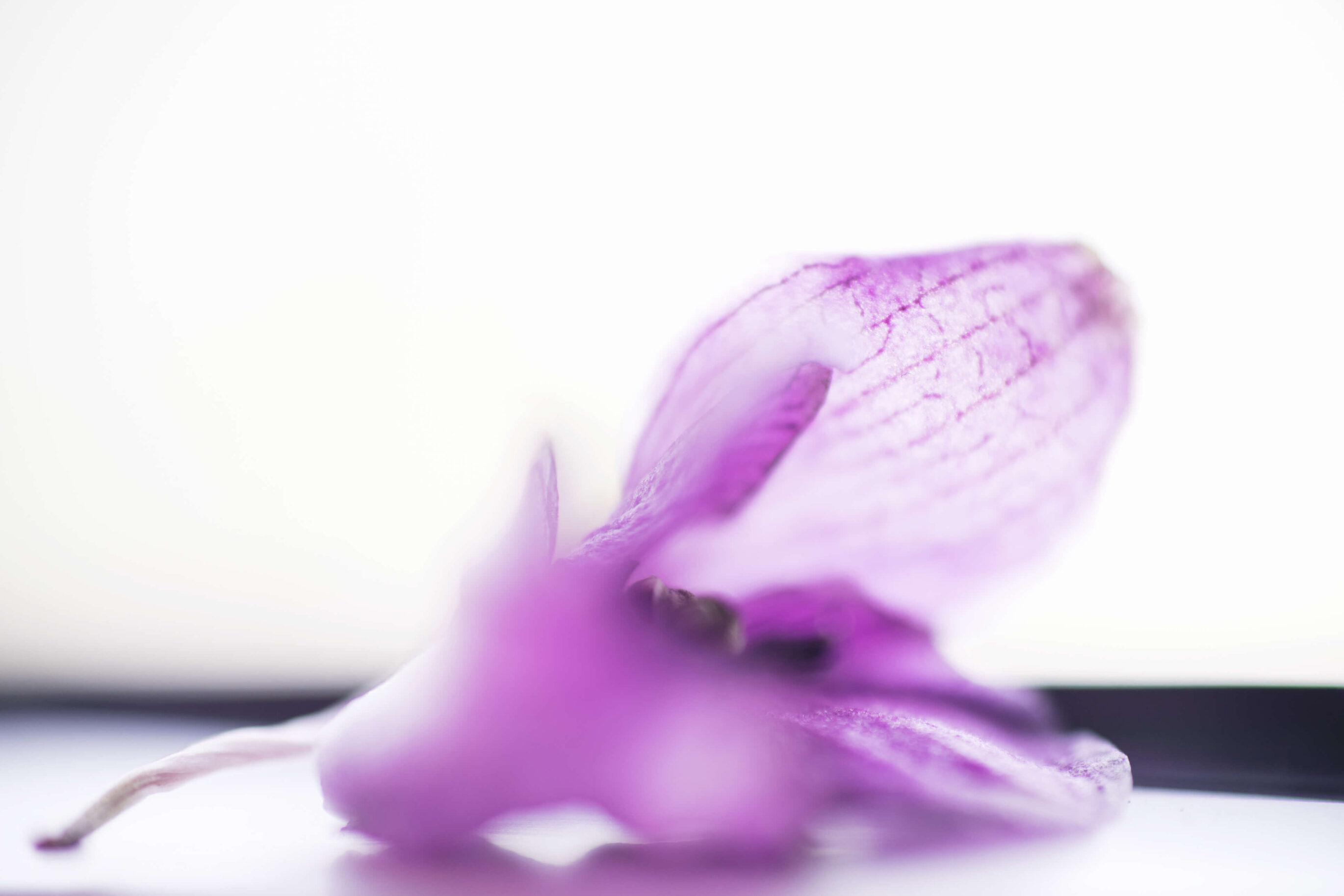 Hilfe bei Wochenbettdepression in und um Karlsruhe durch psychologische Beratung Mamaberatung Silke Rechlin