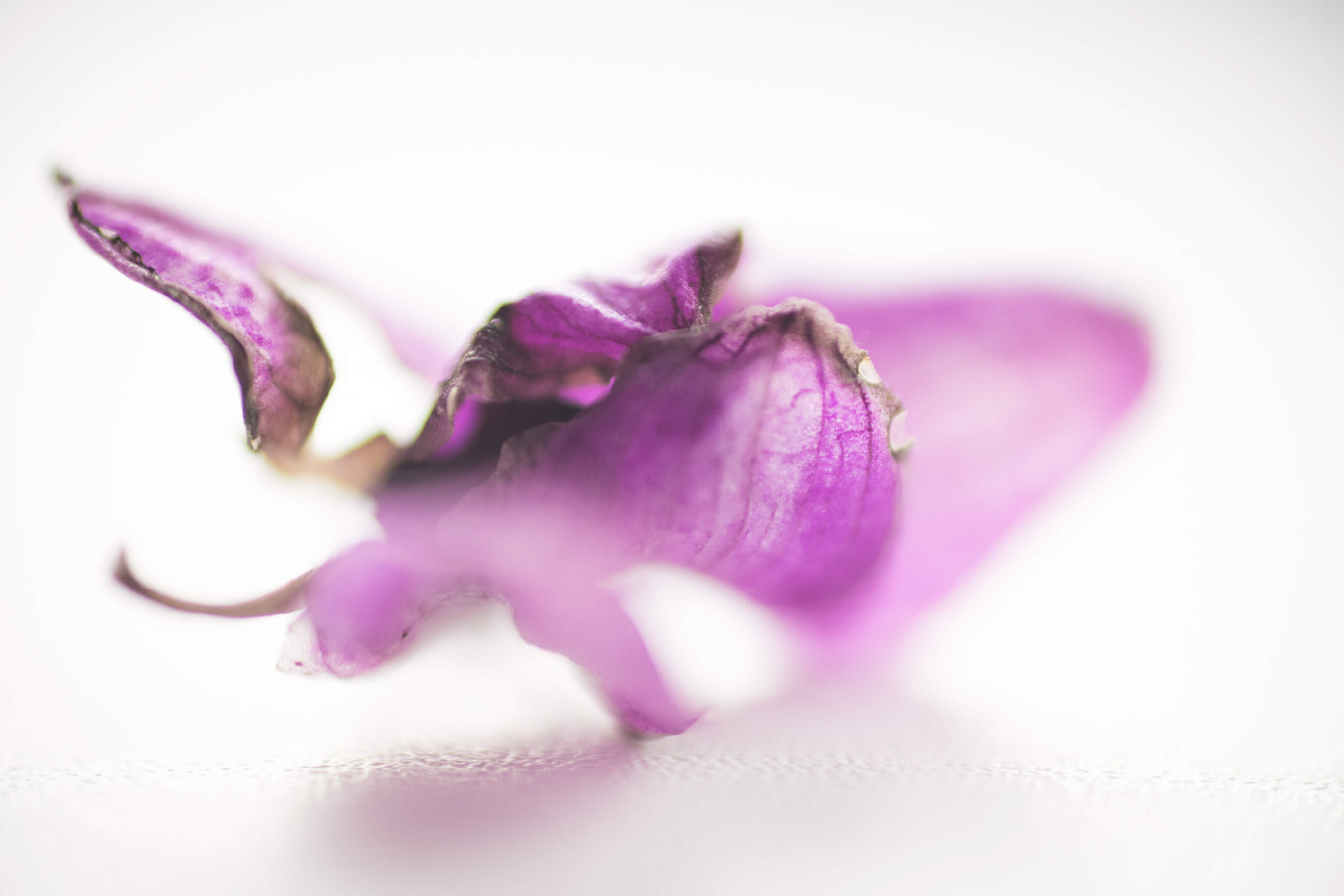 Hilfe bei Wochenbettdepression in und um Karlsruhe durch psychologische Beratung Mamaberatung Silke Rechlin