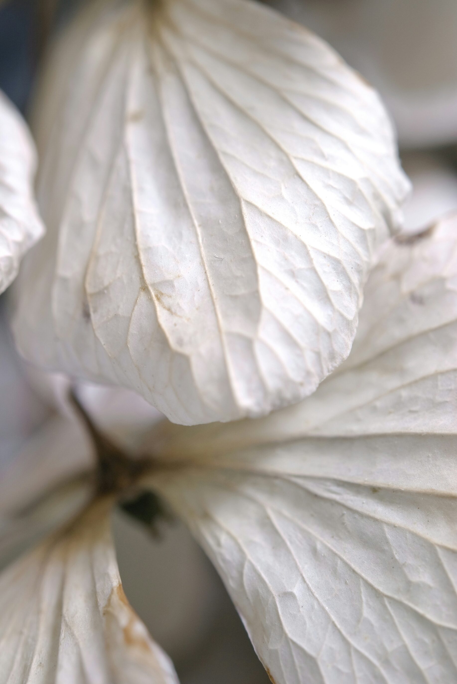 Überfordert und erschöpft als Mutter – Psychologische Beratung in und um Karlsruhe durch MamaBeratung Silke Rechlin