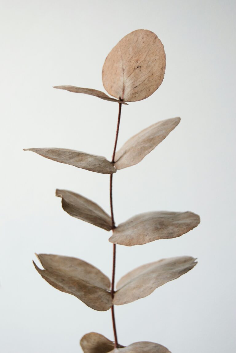 Überfordert und erschöpft als Mutter – Psychologische Beratung in und um Karlsruhe durch MamaBeratung Silke Rechlin